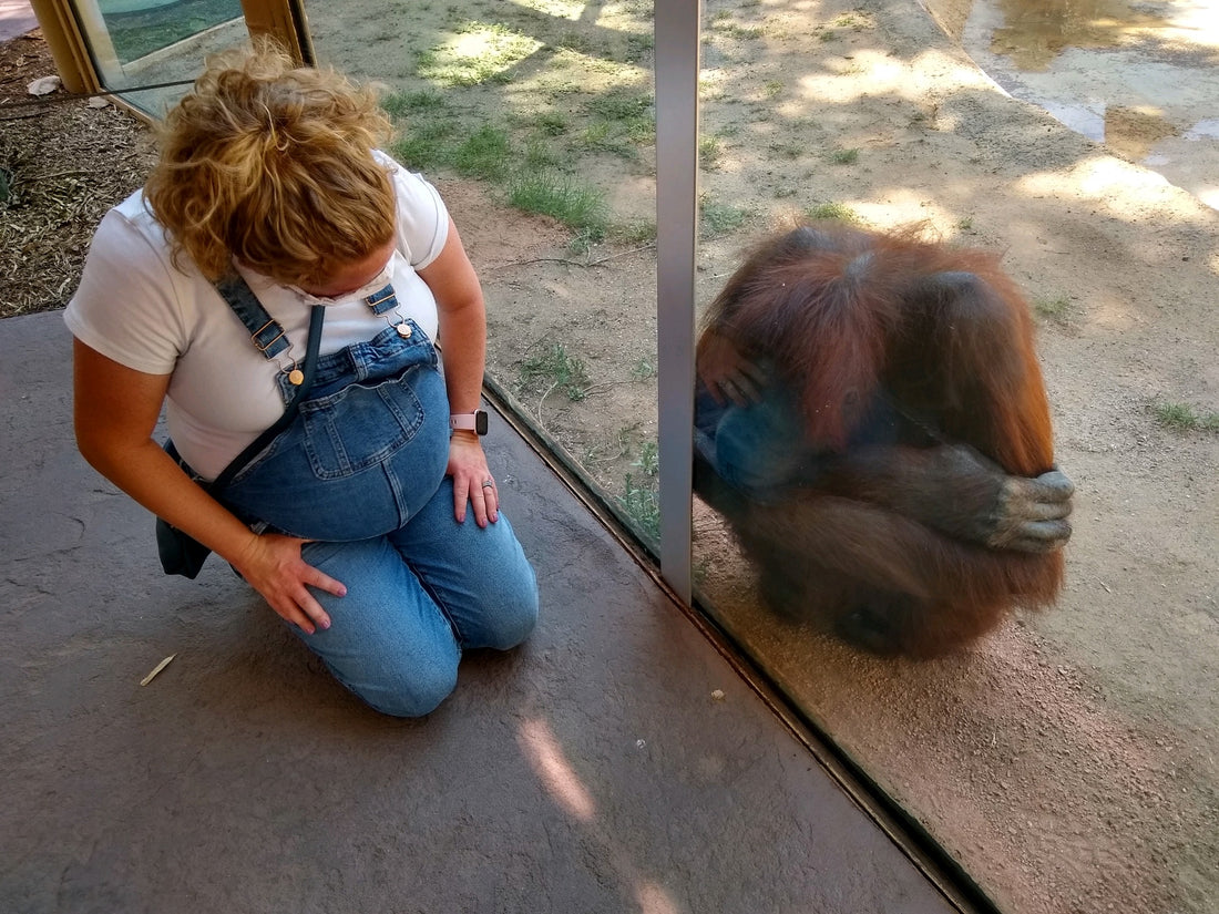 Sarah - Wife & Zookeeper turned stay at home mom.